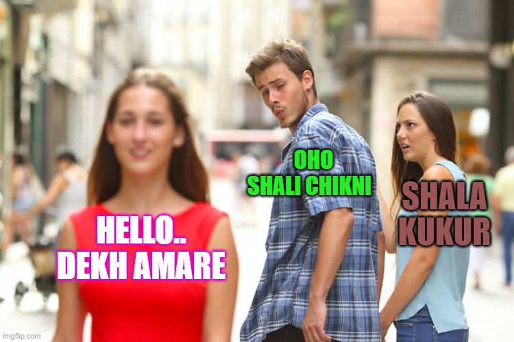 Distracted Boyfriend | OHO SHALI CHIKNI; SHALA KUKUR; HELLO.. DEKH AMARE | image tagged in memes,distracted boyfriend | made w/ Imgflip meme maker