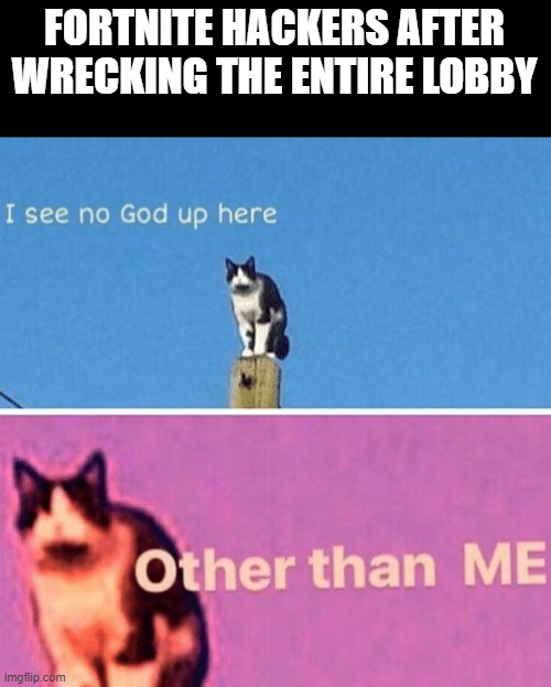 hAcKs |  FORTNITE HACKERS AFTER WRECKING THE ENTIRE LOBBY | image tagged in hail pole cat,hackers,fortnite,bruh | made w/ Imgflip meme maker