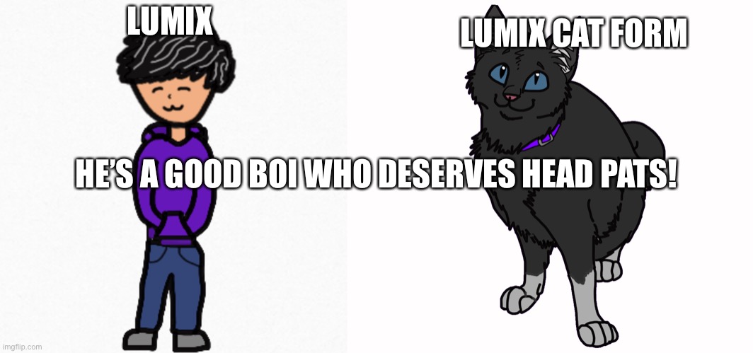 Rp anyone? | LUMIX CAT FORM; LUMIX; HE’S A GOOD BOI WHO DESERVES HEAD PATS! | image tagged in get nae nae'd | made w/ Imgflip meme maker