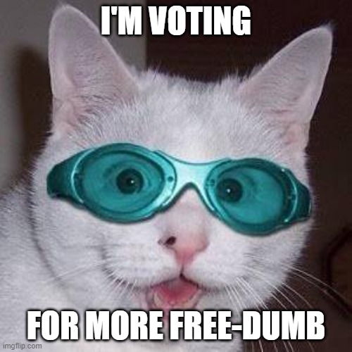Democracy is the Road to Socialism ~Karl Marx | I'M VOTING; FOR MORE FREE-DUMB | image tagged in karl marx | made w/ Imgflip meme maker