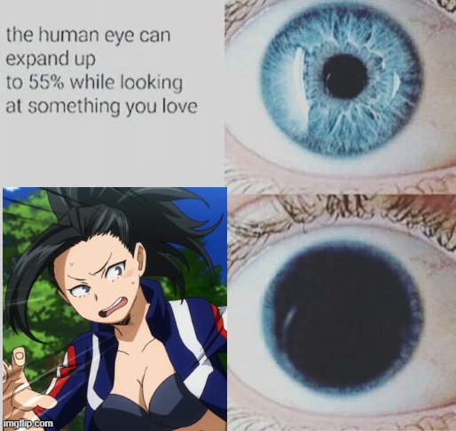 I admit that I used to have a crush on Momo Yaoyorozu... | image tagged in eye pupil expand,anime,my hero academia,waifu | made w/ Imgflip meme maker