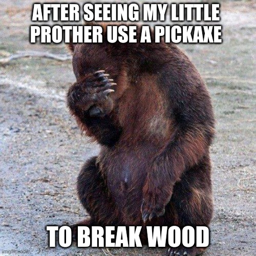 Poor animals | AFTER SEEING MY LITTLE PROTHER USE A PICKAXE; TO BREAK WOOD | image tagged in poor animals | made w/ Imgflip meme maker