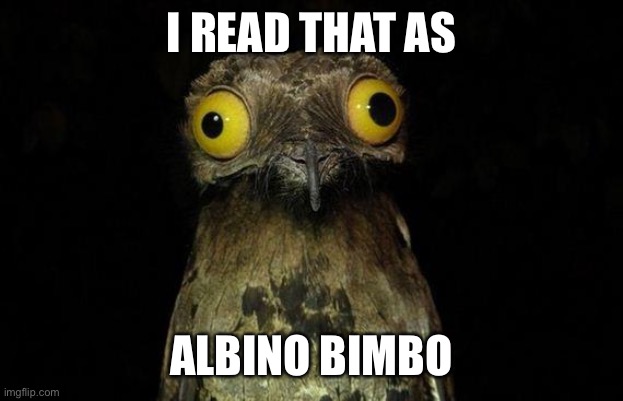 Weird Stuff I Do Potoo Meme | I READ THAT AS ALBINO BIMBO | image tagged in memes,weird stuff i do potoo | made w/ Imgflip meme maker