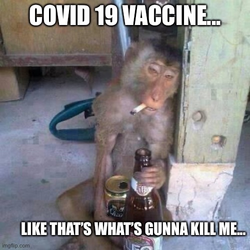 Covid vaccine | COVID 19 VACCINE... LIKE THAT’S WHAT’S GUNNA KILL ME... | image tagged in drunken ass monkey | made w/ Imgflip meme maker