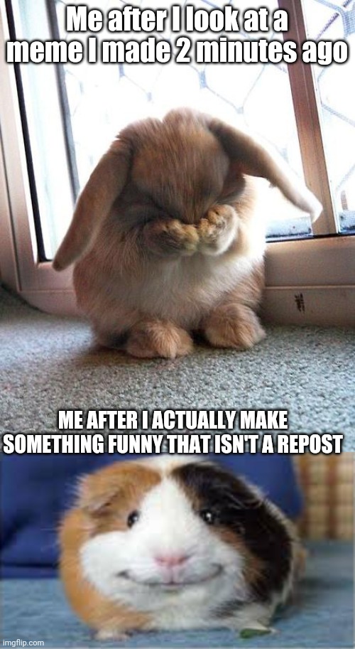 Haha lol | Me after I look at a meme I made 2 minutes ago; ME AFTER I ACTUALLY MAKE SOMETHING FUNNY THAT ISN'T A REPOST | image tagged in embarrassed bunny,mission accomplished,hahaha,lol,not funny | made w/ Imgflip meme maker