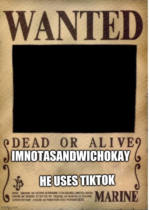 One piece wanted poster template | IMNOTASANDWICHOKAY; HE USES TIKTOK | image tagged in one piece wanted poster template | made w/ Imgflip meme maker
