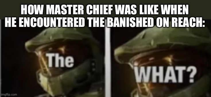 I haven’t read shadows of reach, but I saw HaloFollower’s breakdown of it | HOW MASTER CHIEF WAS LIKE WHEN HE ENCOUNTERED THE BANISHED ON REACH: | image tagged in master chief the what | made w/ Imgflip meme maker