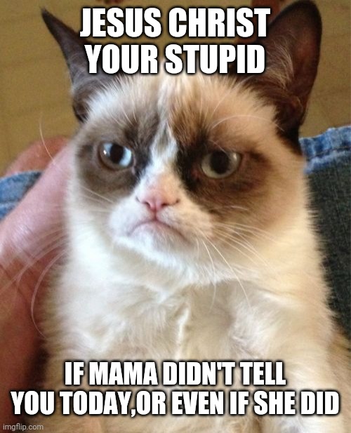 Grumpy Cat | JESUS CHRIST YOUR STUPID; IF MAMA DIDN'T TELL YOU TODAY,OR EVEN IF SHE DID | image tagged in memes,grumpy cat | made w/ Imgflip meme maker