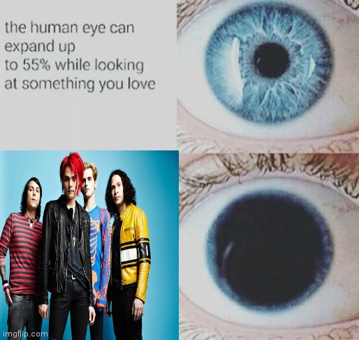 Lmao | image tagged in mcr,my chemical romance,gerard way,frank iero,eye pupil expand | made w/ Imgflip meme maker