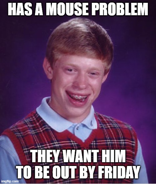 Bad Luck Brian Meme | HAS A MOUSE PROBLEM; THEY WANT HIM TO BE OUT BY FRIDAY | image tagged in memes,bad luck brian | made w/ Imgflip meme maker