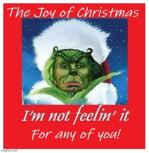 Pelosi Grinch | image tagged in pelosi grinch | made w/ Imgflip meme maker