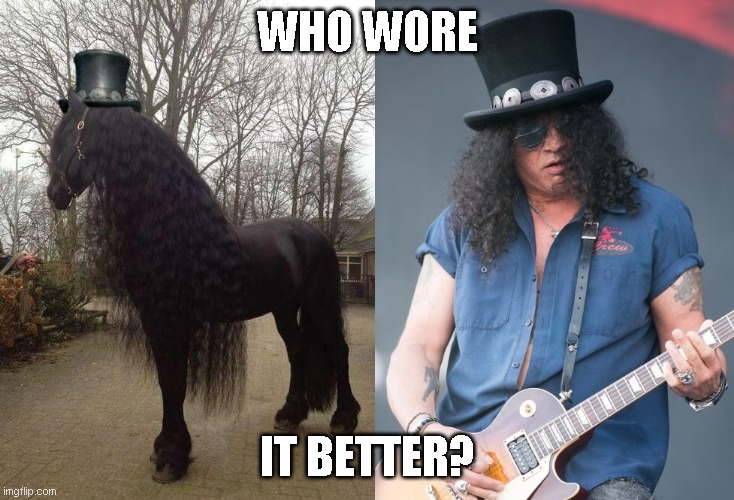 Who wore it better? | WHO WORE; IT BETTER? | image tagged in slash,hat,horse,who wore it better | made w/ Imgflip meme maker