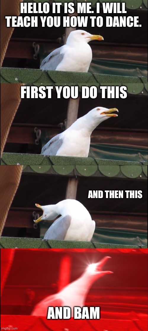 Inhaling Seagull Meme | HELLO IT IS ME. I WILL TEACH YOU HOW TO DANCE. FIRST YOU DO THIS; AND THEN THIS; AND BAM | image tagged in memes,inhaling seagull | made w/ Imgflip meme maker