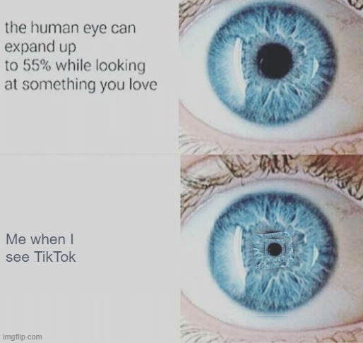 Eye pupil expand | Me when I
see TikTok | image tagged in eye pupil expand,tiktok,tik tok sucks | made w/ Imgflip meme maker