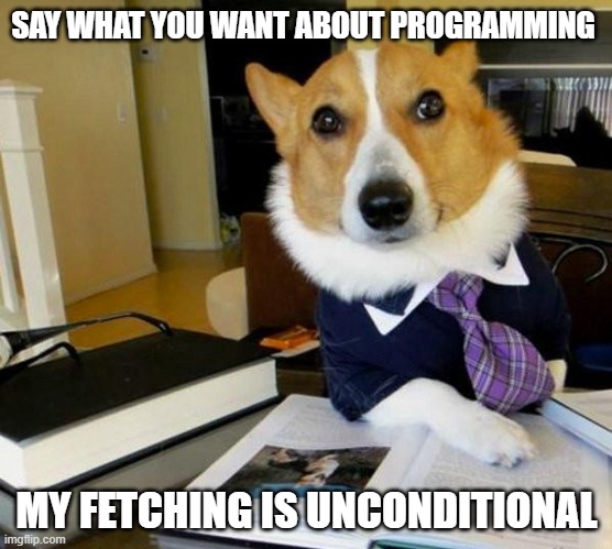 Lawyer Corgi Dog | SAY WHAT YOU WANT ABOUT PROGRAMMING; MY FETCHING IS UNCONDITIONAL | image tagged in lawyer corgi dog | made w/ Imgflip meme maker