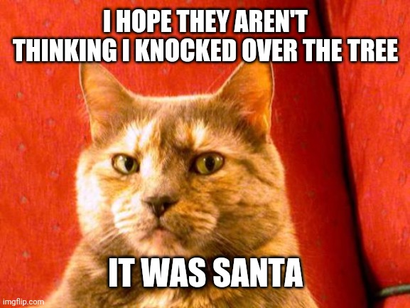 Suspicious Cat | I HOPE THEY AREN'T THINKING I KNOCKED OVER THE TREE; IT WAS SANTA | image tagged in memes,suspicious cat | made w/ Imgflip meme maker