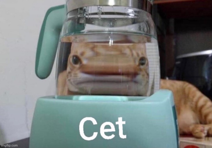 Cet | made w/ Imgflip meme maker