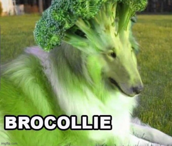 Brocollie | made w/ Imgflip meme maker