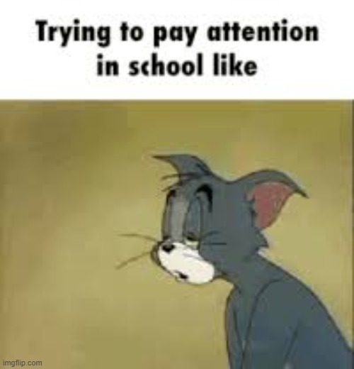 what its like to be at ScHoOl | image tagged in funny memes | made w/ Imgflip meme maker