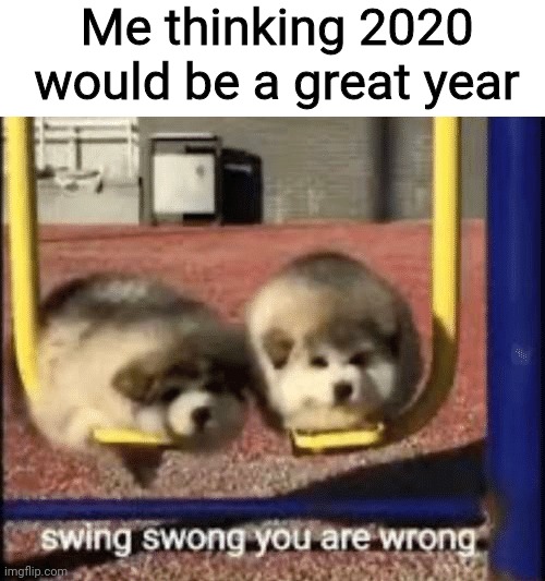 ? I need to shut up before I "predict" the future | Me thinking 2020 would be a great year | image tagged in swing swong you are wrong | made w/ Imgflip meme maker