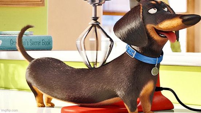 Don’t ask- | made w/ Imgflip meme maker