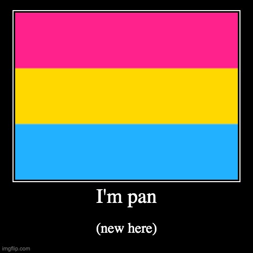image tagged in pansexual,new user,hi,stop reading the tags,never gonna give you up,never gonna let you down | made w/ Imgflip demotivational maker