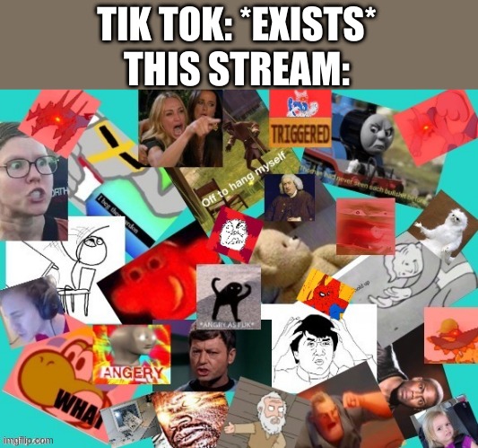 Am I wrong here? | TIK TOK: *EXISTS*
THIS STREAM: | image tagged in the ultimate rage | made w/ Imgflip meme maker