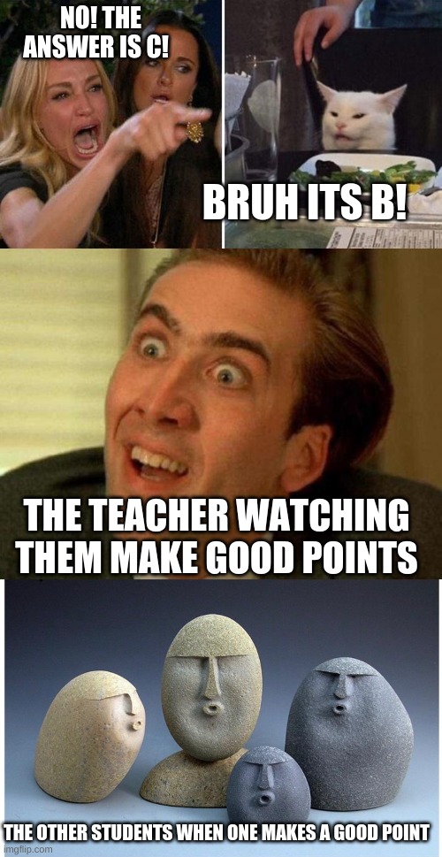 NO! THE ANSWER IS C! BRUH ITS B! THE TEACHER WATCHING THEM MAKE GOOD POINTS; THE OTHER STUDENTS WHEN ONE MAKES A GOOD POINT | image tagged in angry lady cat,nicolas cage,ooooooo | made w/ Imgflip meme maker