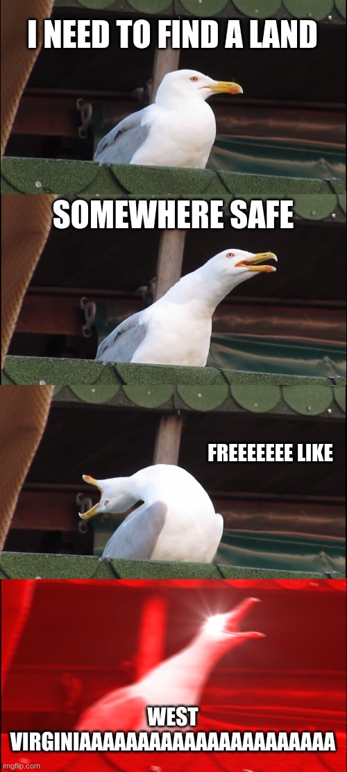Inhaling Seagull | I NEED TO FIND A LAND; SOMEWHERE SAFE; FREEEEEEE LIKE; WEST VIRGINIAAAAAAAAAAAAAAAAAAAAAA | image tagged in memes,inhaling seagull | made w/ Imgflip meme maker