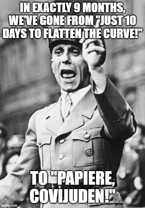 Papiere, Covijuden! | IN EXACTLY 9 MONTHS, WE'VE GONE FROM "JUST 10 DAYS TO FLATTEN THE CURVE!"; TO "PAPIERE, COVIJUDEN!" | image tagged in goebbels fascist propaganda,covidzlam,sharia,covijuden passport | made w/ Imgflip meme maker
