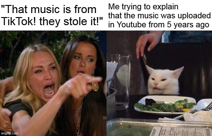 Woman yelling at cat | "That music is from TikTok! they stole it!"; Me trying to explain that the music was uploaded in Youtube from 5 years ago | image tagged in memes,woman yelling at cat | made w/ Imgflip meme maker