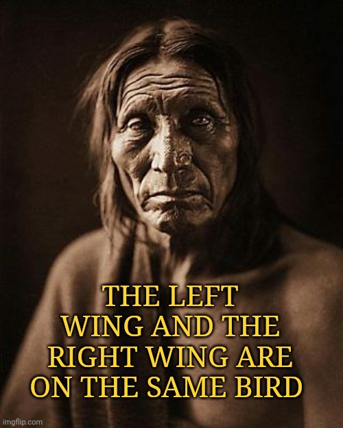 Left and Right Wing | THE LEFT WING AND THE RIGHT WING ARE ON THE SAME BIRD | image tagged in left and right wing | made w/ Imgflip meme maker