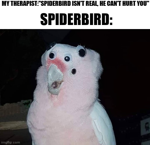 Spiderbird | MY THERAPIST:"SPIDERBIRD ISN'T REAL, HE CAN'T HURT YOU"; SPIDERBIRD: | image tagged in funny,funny memes,funny meme,therapist,memes,brimmuthafukinstone | made w/ Imgflip meme maker