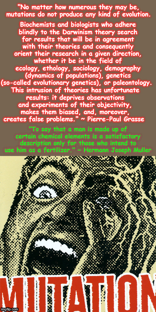 4qishw.jpg