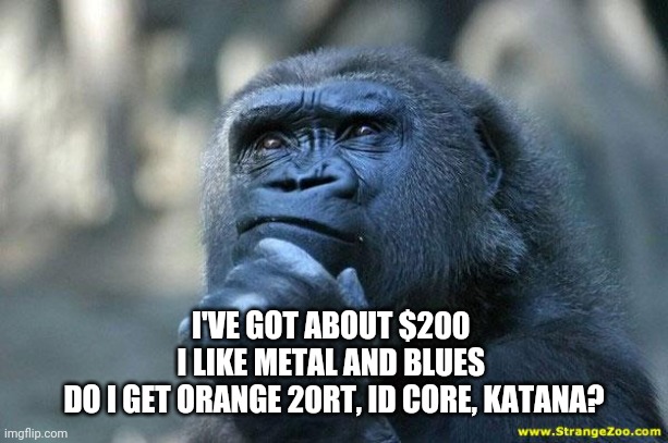 Deep Thoughts | I'VE GOT ABOUT $200 
I LIKE METAL AND BLUES 
DO I GET ORANGE 20RT, ID CORE, KATANA? | image tagged in deep thoughts | made w/ Imgflip meme maker