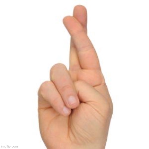 Fingers crossed | image tagged in fingers crossed | made w/ Imgflip meme maker