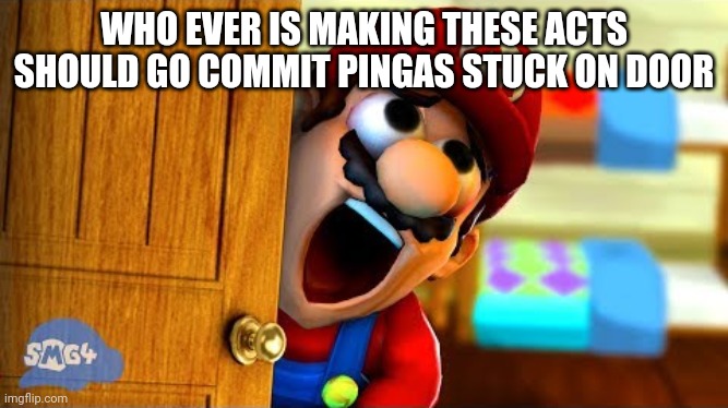 WHO EVER IS MAKING THESE ACTS SHOULD GO COMMIT PINGAS STUCK ON DOOR | image tagged in memes | made w/ Imgflip meme maker