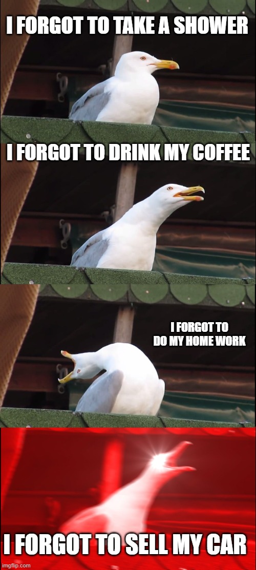 Inhaling Seagull Meme |  I FORGOT TO TAKE A SHOWER; I FORGOT TO DRINK MY COFFEE; I FORGOT TO DO MY HOME WORK; I FORGOT TO SELL MY CAR | image tagged in memes,inhaling seagull | made w/ Imgflip meme maker