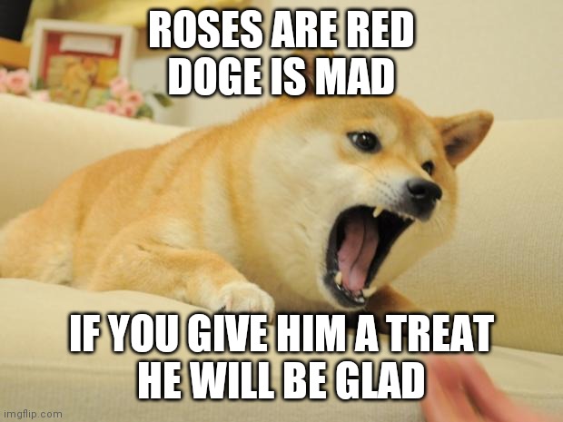 Hahaha doge | ROSES ARE RED
DOGE IS MAD; IF YOU GIVE HIM A TREAT
HE WILL BE GLAD | image tagged in angry doge | made w/ Imgflip meme maker