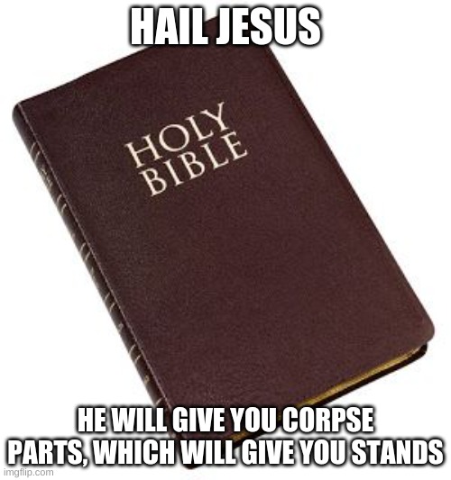 do it | HAIL JESUS; HE WILL GIVE YOU CORPSE PARTS, WHICH WILL GIVE YOU STANDS | image tagged in holy bible | made w/ Imgflip meme maker
