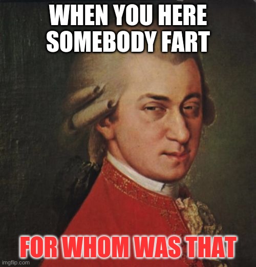 Mozart Not Sure |  WHEN YOU HERE SOMEBODY FART; FOR WHOM WAS THAT | image tagged in memes,mozart not sure | made w/ Imgflip meme maker