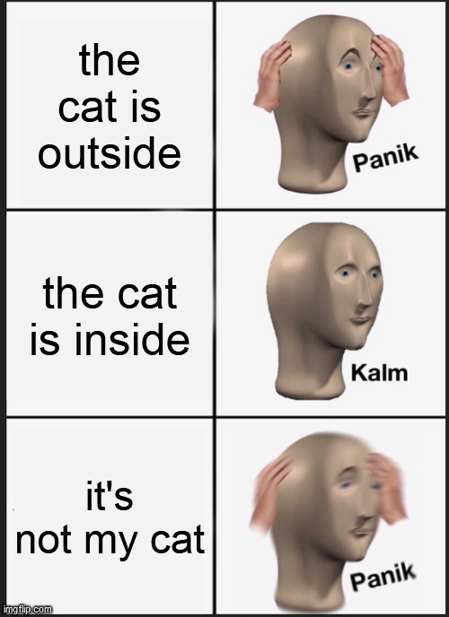Panik Kalm Panik | the cat is outside; the cat is inside; it's not my cat | image tagged in memes,panik kalm panik | made w/ Imgflip meme maker