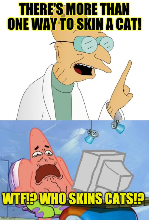 There's more than one way to skin a cat | THERE'S MORE THAN ONE WAY TO SKIN A CAT! WTF!? WHO SKINS CATS!? | image tagged in professor farnsworth,patrick star internet disgust,funny,memes,meme,funny memes | made w/ Imgflip meme maker
