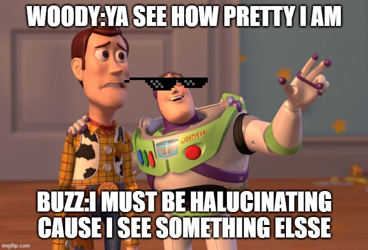 X, X Everywhere | WOODY:YA SEE HOW PRETTY I AM; BUZZ:I MUST BE HALUCINATING CAUSE I SEE SOMETHING ELSSE | image tagged in memes,x x everywhere | made w/ Imgflip meme maker