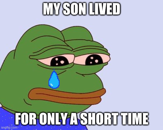 Pepe the Frog | MY SON LIVED; FOR ONLY A SHORT TIME | image tagged in pepe the frog | made w/ Imgflip meme maker