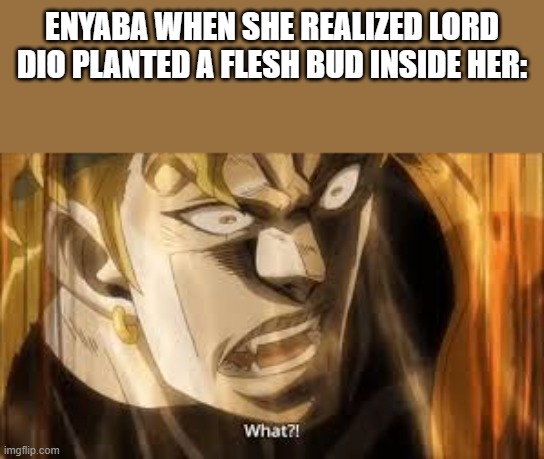 dio what | ENYABA WHEN SHE REALIZED LORD DIO PLANTED A FLESH BUD INSIDE HER: | image tagged in dio what | made w/ Imgflip meme maker