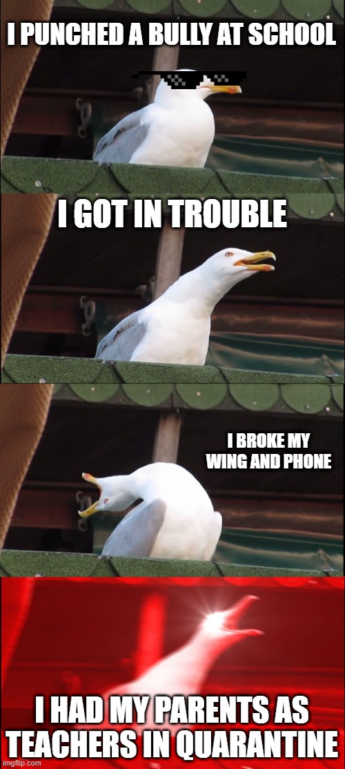 Inhaling Seagull | I PUNCHED A BULLY AT SCHOOL; I GOT IN TROUBLE; I BROKE MY WING AND PHONE; I HAD MY PARENTS AS TEACHERS IN QUARANTINE | image tagged in memes,inhaling seagull | made w/ Imgflip meme maker