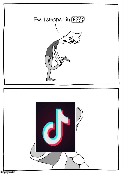 Tik tok is crap | CRAP | image tagged in ew i stepped in shit | made w/ Imgflip meme maker
