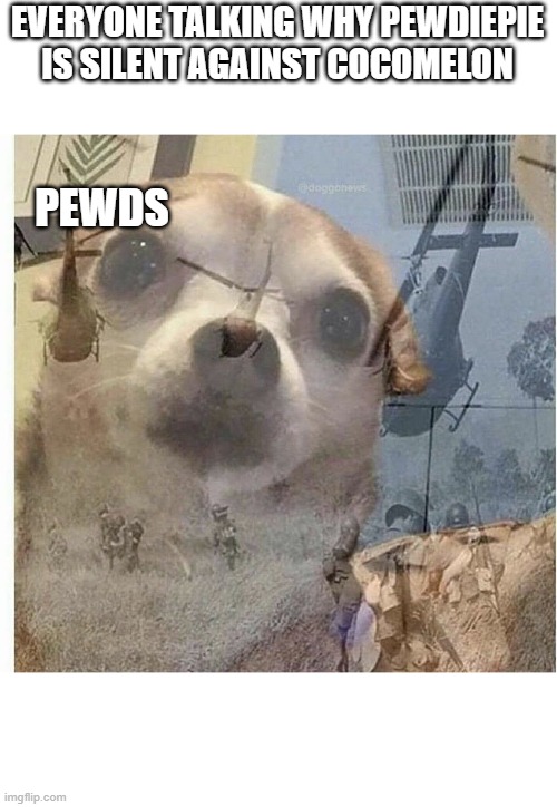 PTSD Chihuahua | EVERYONE TALKING WHY PEWDIEPIE IS SILENT AGAINST COCOMELON; PEWDS | image tagged in ptsd chihuahua | made w/ Imgflip meme maker