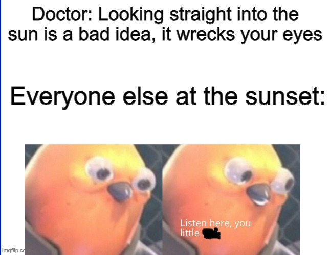 Different people at different places have different opinions about different things at different times. | Doctor: Looking straight into the sun is a bad idea, it wrecks your eyes; Everyone else at the sunset: | image tagged in listen here you little shit | made w/ Imgflip meme maker